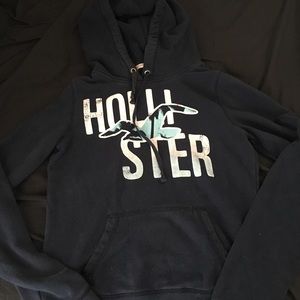 Hollister sweat shirt